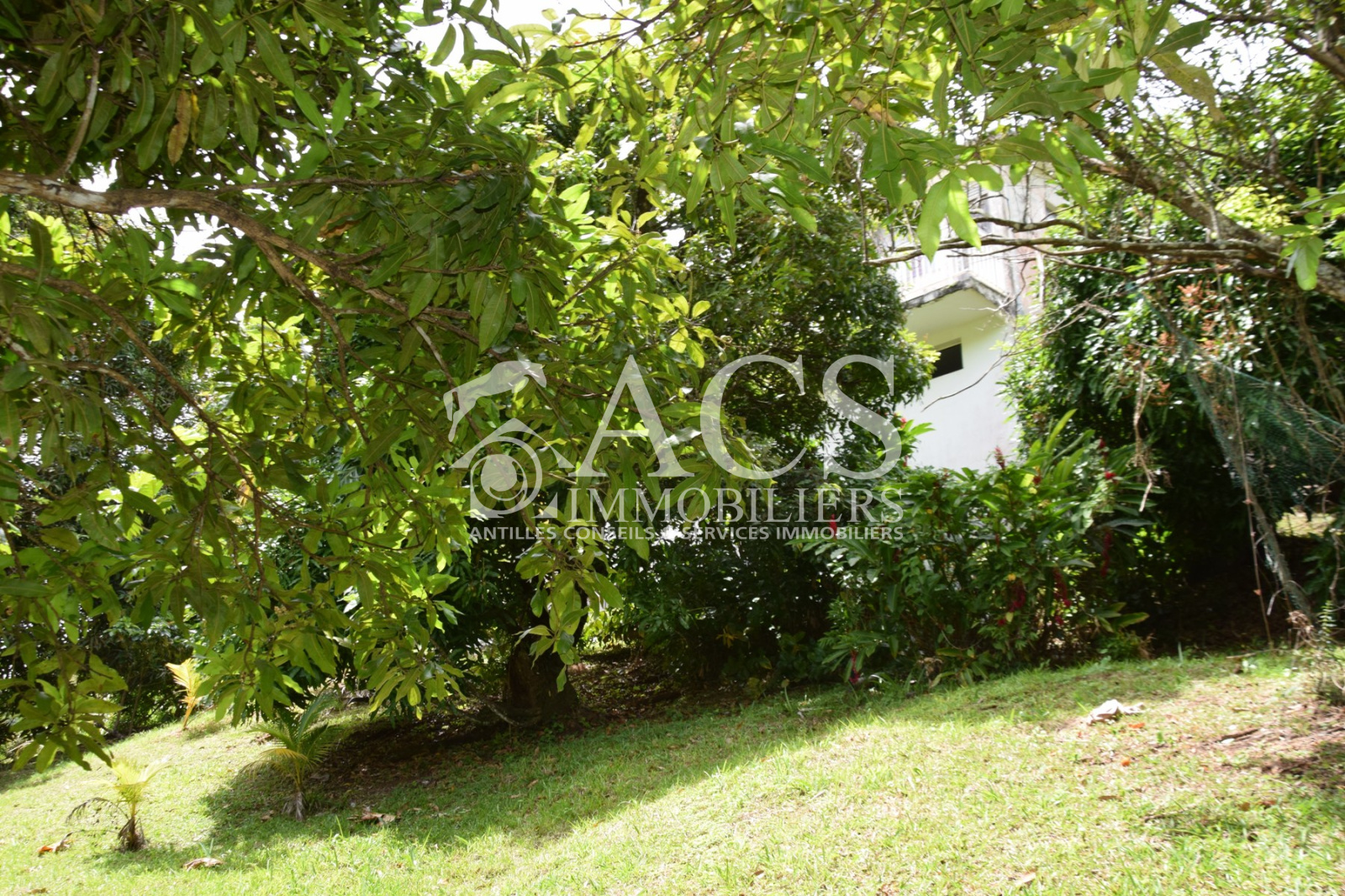 Vente Grande maison 2 F4 avec terrasses Rivière Salée